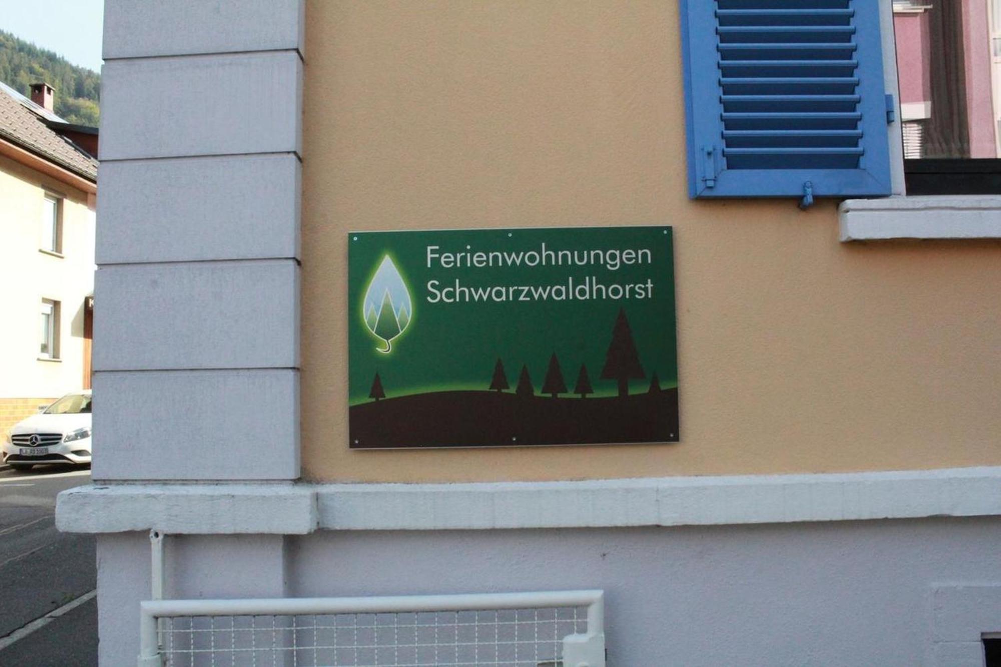 Schwarzwaldhorst 1 Fuer 8 Gaeste In Todtnau, Liftverbund Feldberg Exterior photo